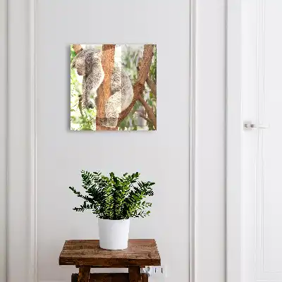 Designová skříňka na klíče Koala relax