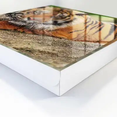 Krabička na klíče Odpočívající tygr