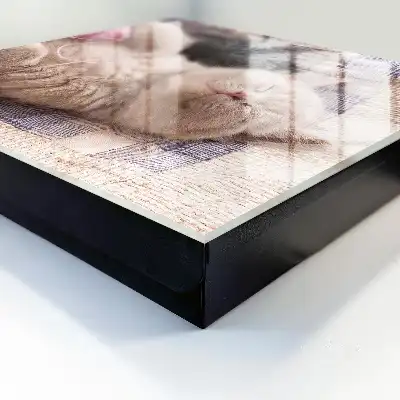 Designová skříňka na klíče Spící koťátko