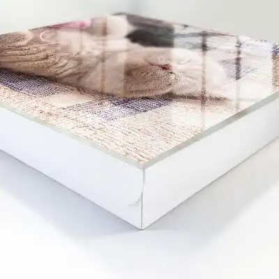 Designová skříňka na klíče Spící koťátko