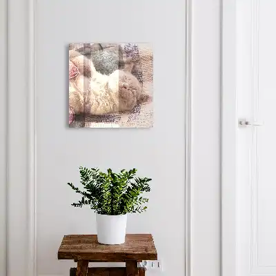 Designová skříňka na klíče Spící koťátko