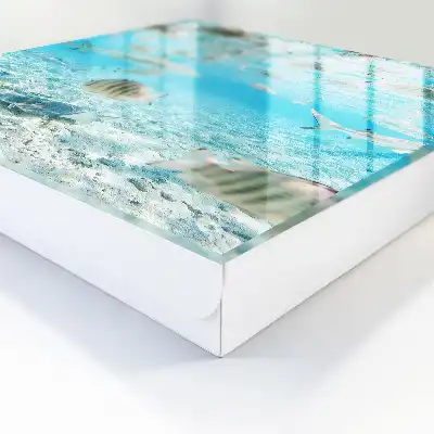 Designová skříňka na klíče Vodní život