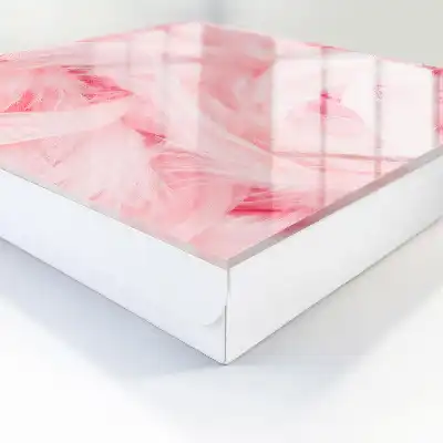 Designová skříňka na klíče Růžová pírka