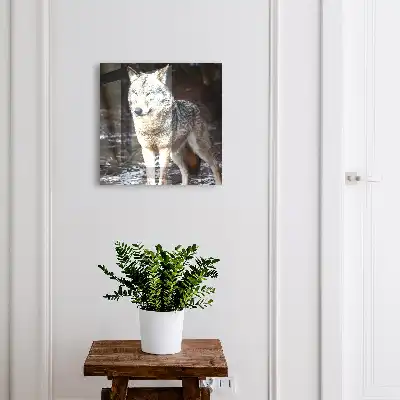 Skříňka na klíče Vlk v lese