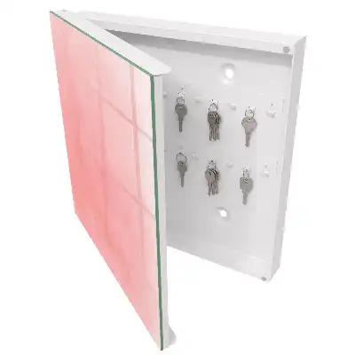 Designová skříňka na klíče Růžové pozadí