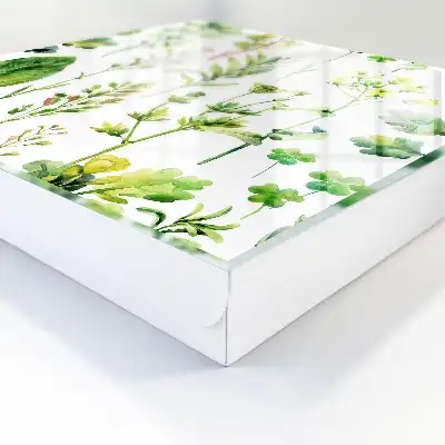 Designová skříňka na klíče Rostlinný akvarel
