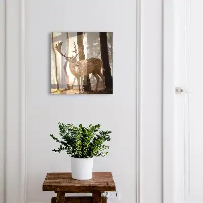 Krabička na klíče Jelen v lese