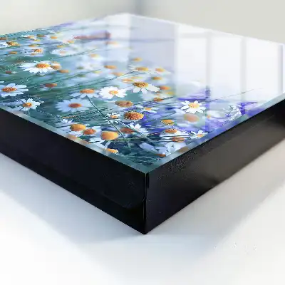 Designová skříňka na klíče Letní louka