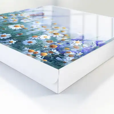 Designová skříňka na klíče Letní louka