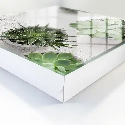Designová skříňka na klíče Zelené sukulenty