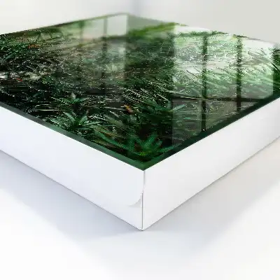 Designová skříňka na klíče Pavučina v lese