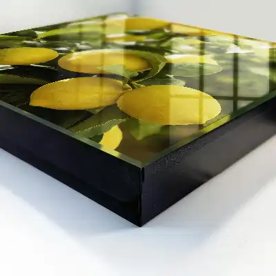 Designová skříňka na klíče Šťavnatá svěžest