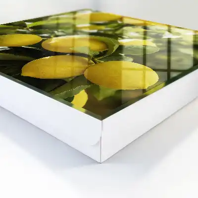 Designová skříňka na klíče Šťavnatá svěžest