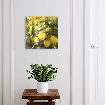 Designová skříňka na klíče Šťavnatá svěžest