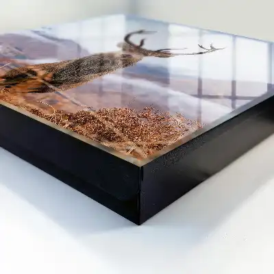 Designová skříňka na klíče Horský jelen