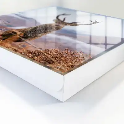 Designová skříňka na klíče Horský jelen