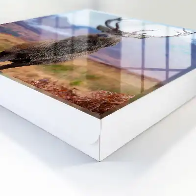 Skříňka na klíče Jelen v horách
