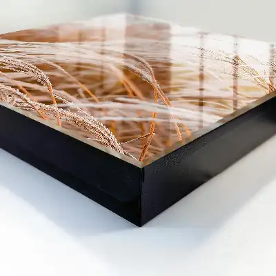 Designová skříňka na klíče Jemné trávy