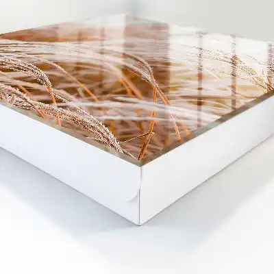Designová skříňka na klíče Jemné trávy