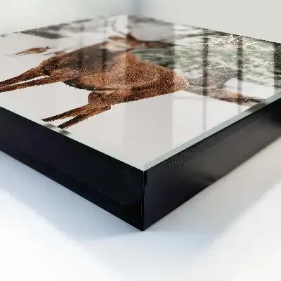 Designová skříňka na klíče Zimní jelen