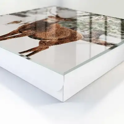 Designová skříňka na klíče Zimní jelen
