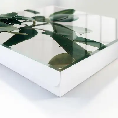 Designová skříňka na klíče Fíkus listy