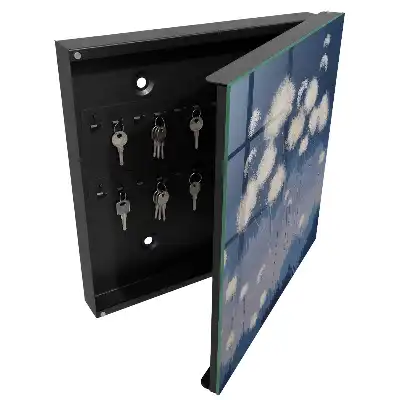 Designová skříňka na klíče Pampelišky