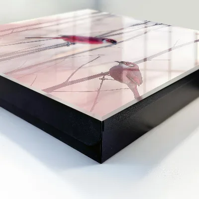 Designová skříňka na klíče s motivem dvou ptáků