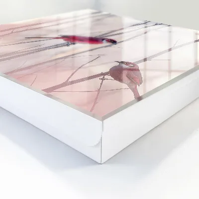 Designová skříňka na klíče s motivem dvou ptáků