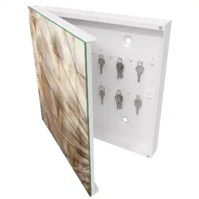 Designová skříňka na klíče Béžové pampelišky