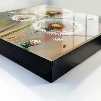 Designová skříňka na klíče Jemné pampelišky