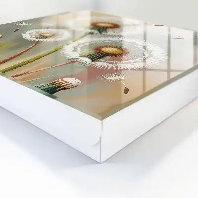 Designová skříňka na klíče Jemné pampelišky