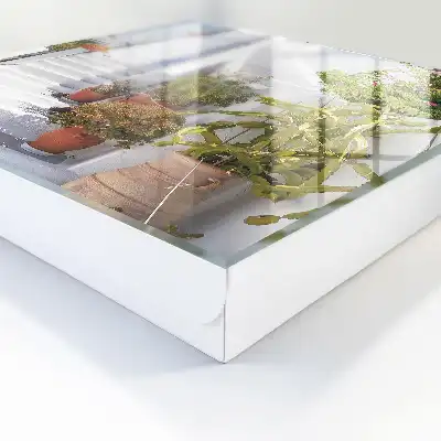Designová skříňka na klíče Schody s rostlinami