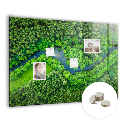 Magnetická tabule na magnety Řeka v lese