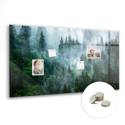 Designová magnetická tabule Mlžný les