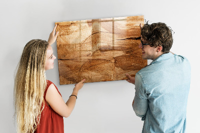 Magnetická tabule na magnety Textura dřeva