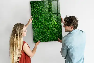 Magnetická kreslící tabule ve tvaru plotu z listů