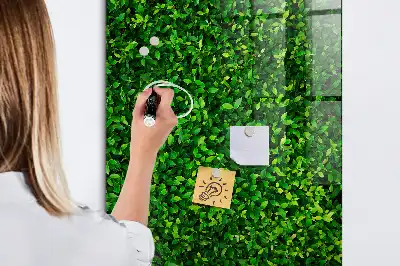 Magnetická kreslící tabule ve tvaru plotu z listů