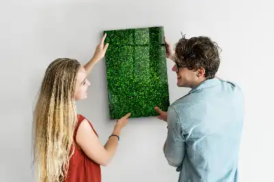 Magnetická kreslící tabule ve tvaru plotu z listů
