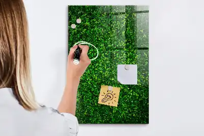 Magnetická kreslící tabule ve tvaru plotu z listů