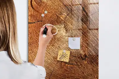 Magnetická kreslící tabule ve tvaru průřezu kmenem