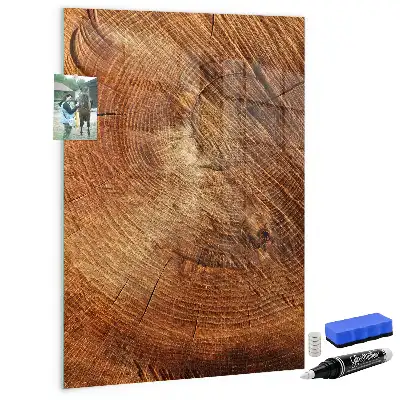 Magnetická kreslící tabule ve tvaru průřezu kmenem