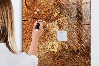 Magnetická kreslící tabule ve tvaru průřezu kmenem