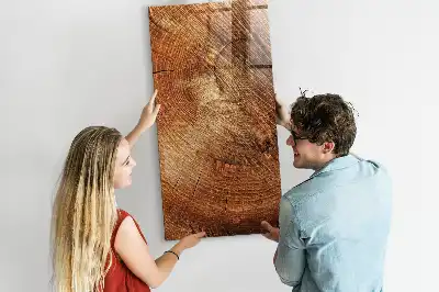Magnetická kreslící tabule ve tvaru průřezu kmenem
