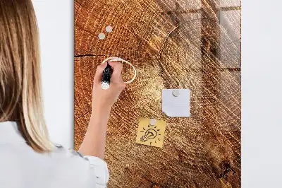 Magnetická kreslící tabule ve tvaru průřezu kmenem