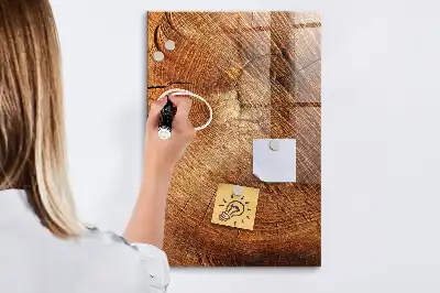 Magnetická kreslící tabule ve tvaru průřezu kmenem
