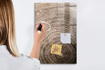 Magnetická kreslící tabule s motivem letokruhů stromu