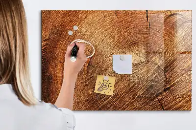 Magnetická kreslicí tabulka starý kmen stromu