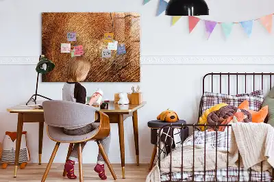 Magnetická kreslicí tabulka starý kmen stromu