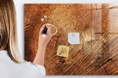Magnetická kreslicí tabulka starý kmen stromu